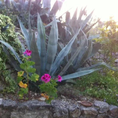 Bed & Breakfast Azienda Agricola Macchiaria *