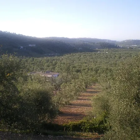 Azienda Agricola Macchiaria Vieste
